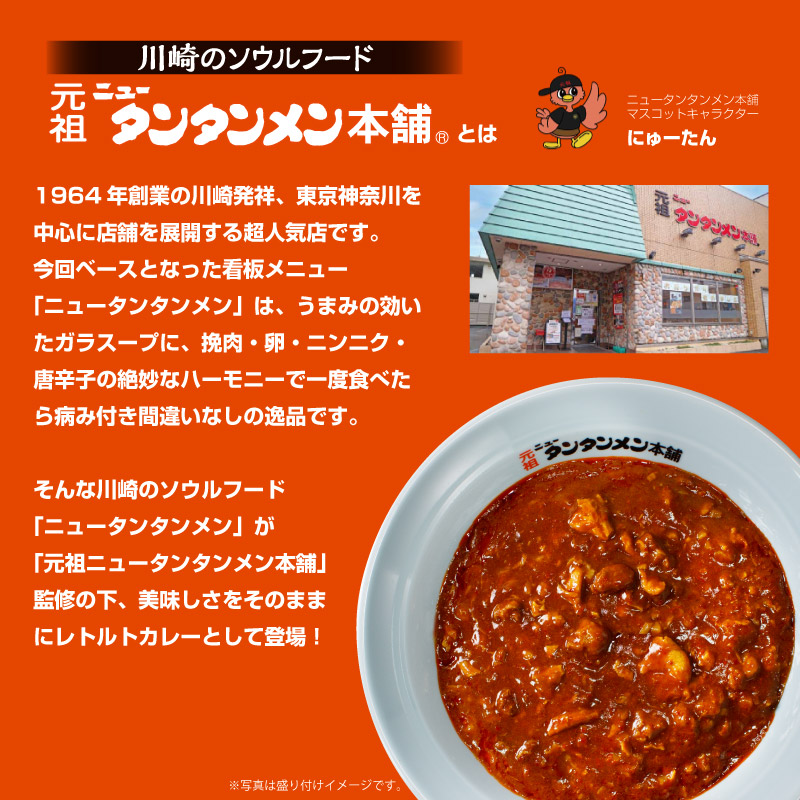 ニュータンタンカレー