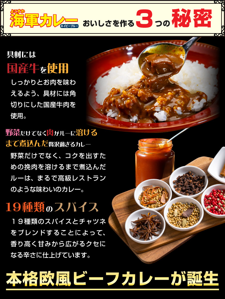 よこすか海軍カレーネイビーブルー美味しさの3つの秘密